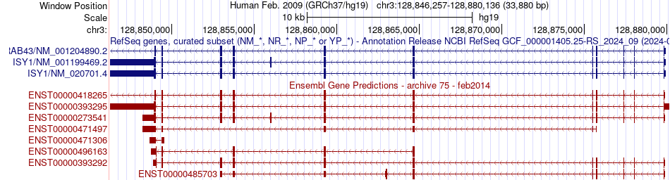 gene isoform structure of ISY1