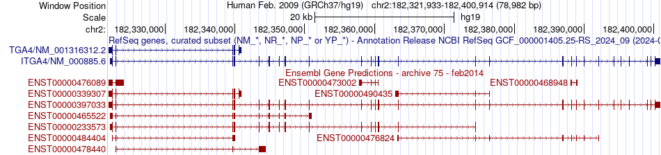 gene isoform structure of ITGA4