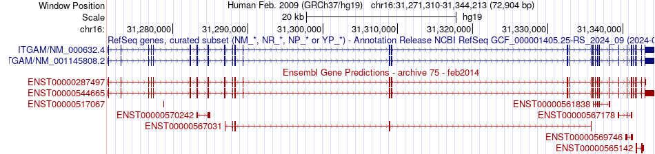 gene isoform structure of ITGAM