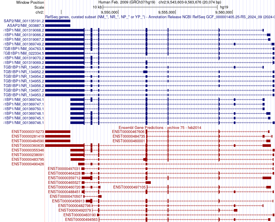 gene isoform structure of ITGB1BP1
