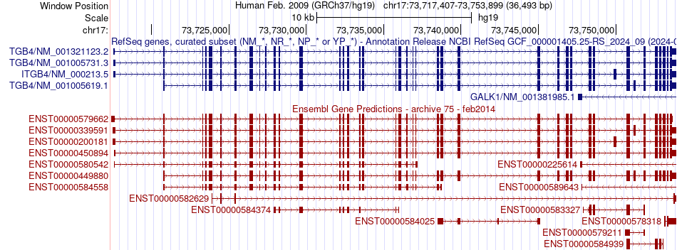 gene isoform structure of ITGB4