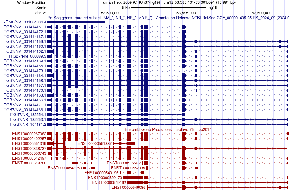 gene isoform structure of ITGB7