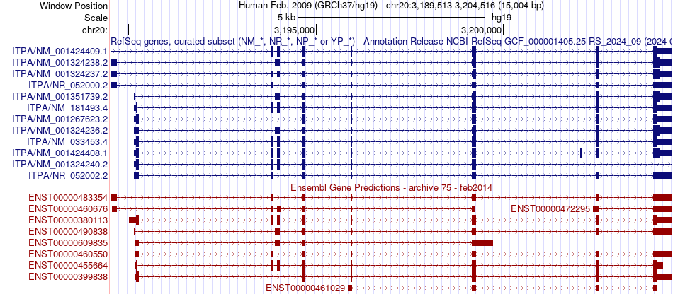 gene isoform structure of ITPA