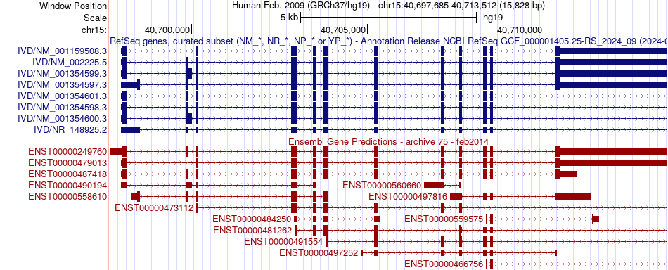 gene isoform structure of IVD