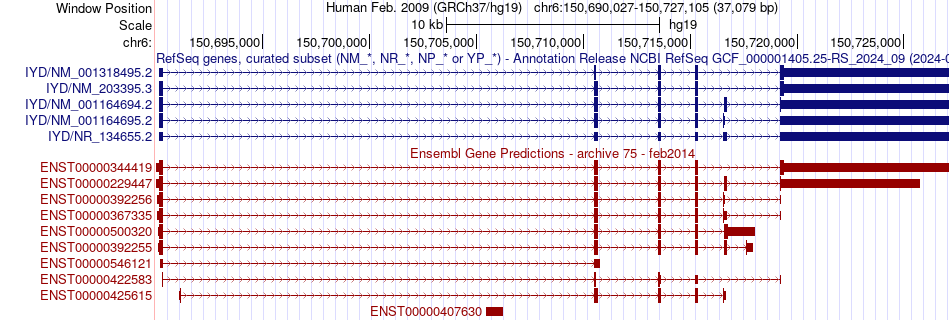 gene isoform structure of IYD