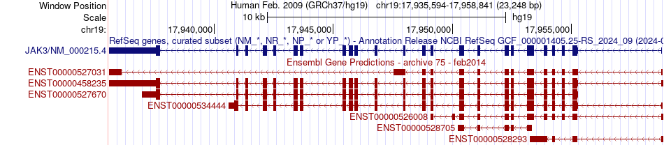 gene isoform structure of JAK3