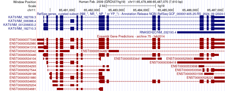 gene isoform structure of KAT5