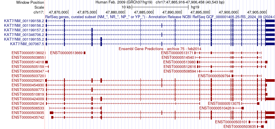 gene isoform structure of KAT7