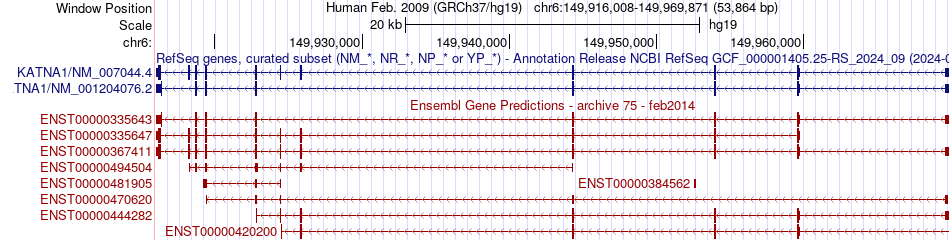 gene isoform structure of KATNA1