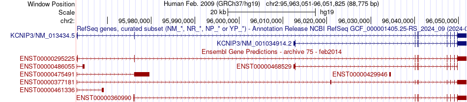 gene isoform structure of KCNIP3