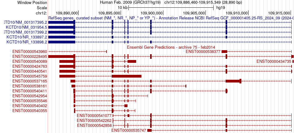 gene isoform structure of KCTD10