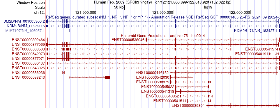 gene isoform structure of KDM2B