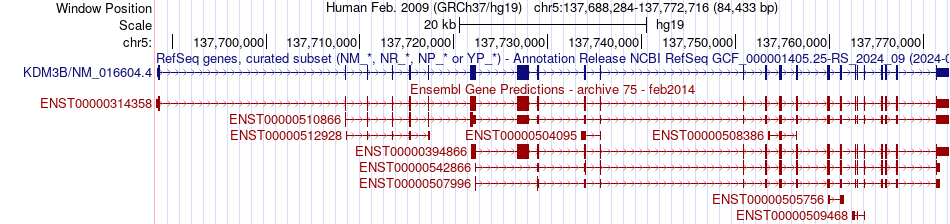 gene isoform structure of KDM3B