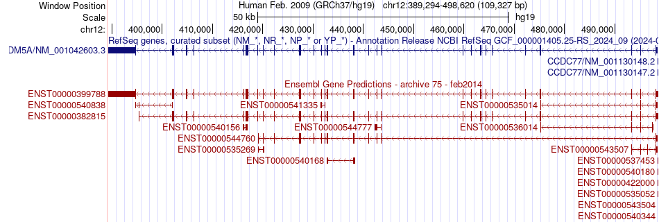 gene isoform structure of KDM5A