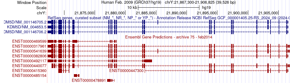 gene isoform structure of KDM5D