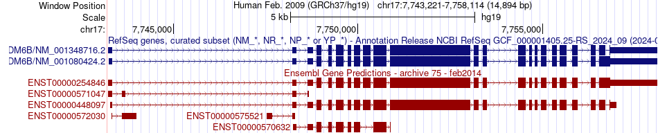 gene isoform structure of KDM6B