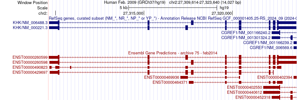 gene isoform structure of KHK