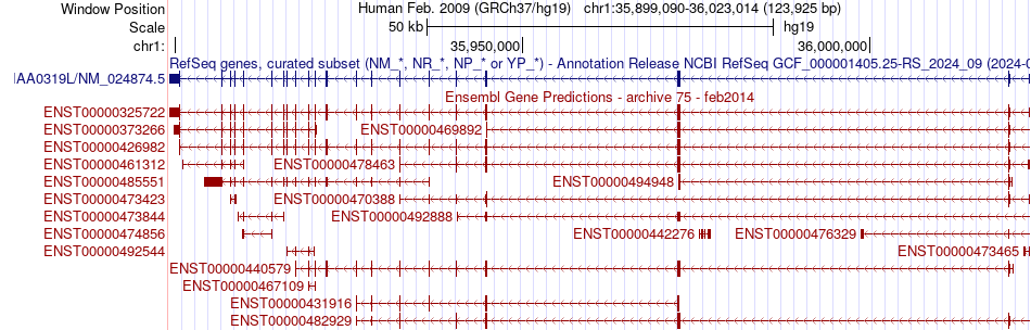 gene isoform structure of KIAA0319L