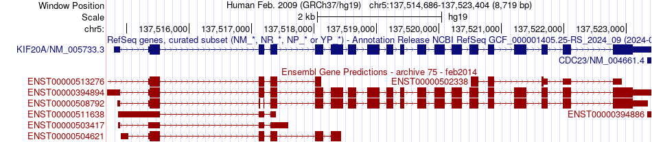 gene isoform structure of KIF20A