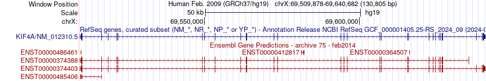 gene isoform structure of KIF4A