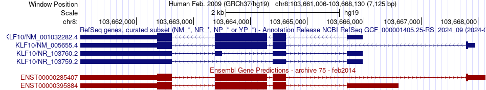 gene isoform structure of KLF10