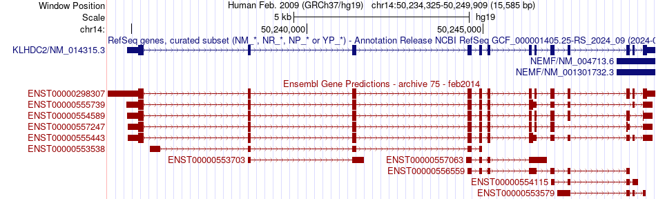 gene isoform structure of KLHDC2