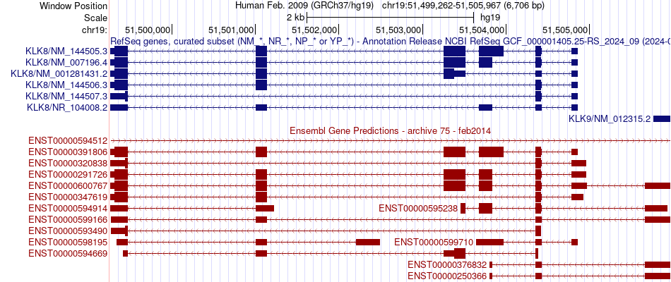 gene isoform structure of KLK8