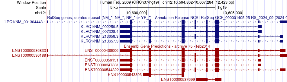 gene isoform structure of KLRC1
