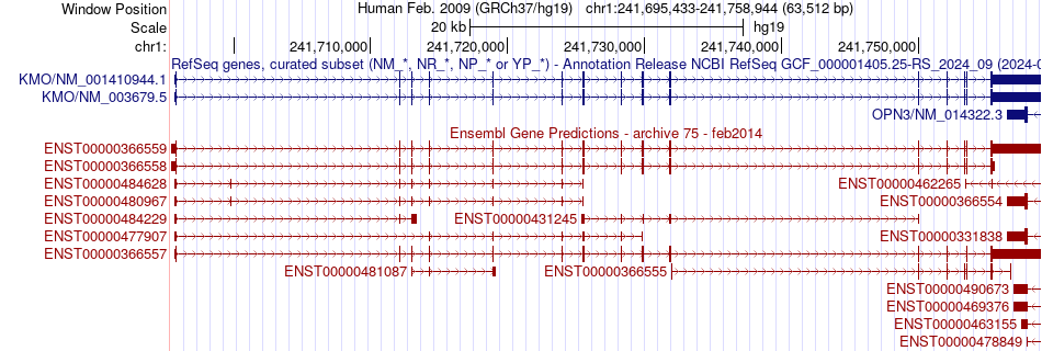 gene isoform structure of KMO