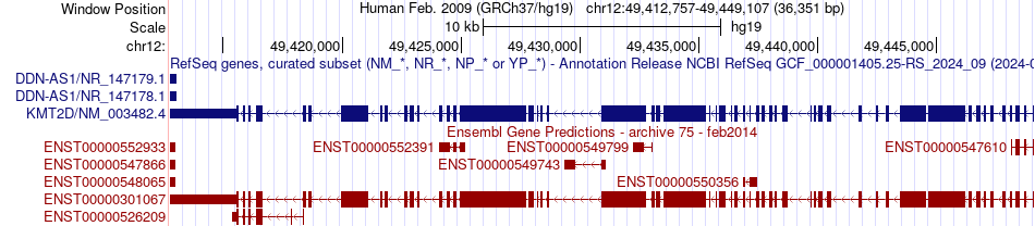 gene isoform structure of KMT2D