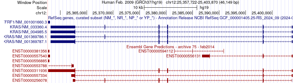 gene isoform structure of KRAS