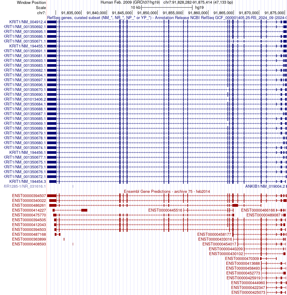 gene isoform structure of KRIT1