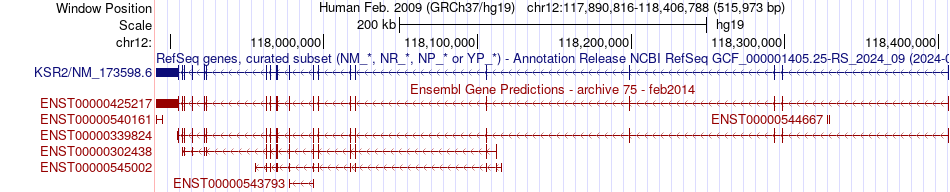 gene isoform structure of KSR2
