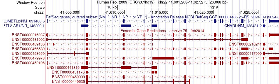 gene isoform structure of L3MBTL2