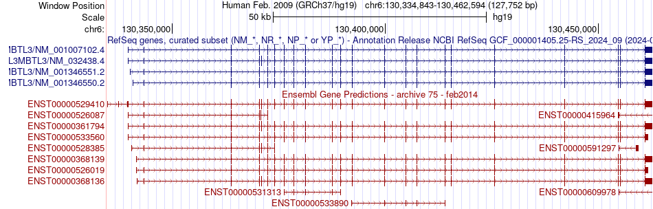 gene isoform structure of L3MBTL3