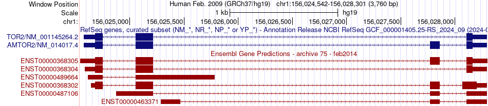 gene isoform structure of LAMTOR2