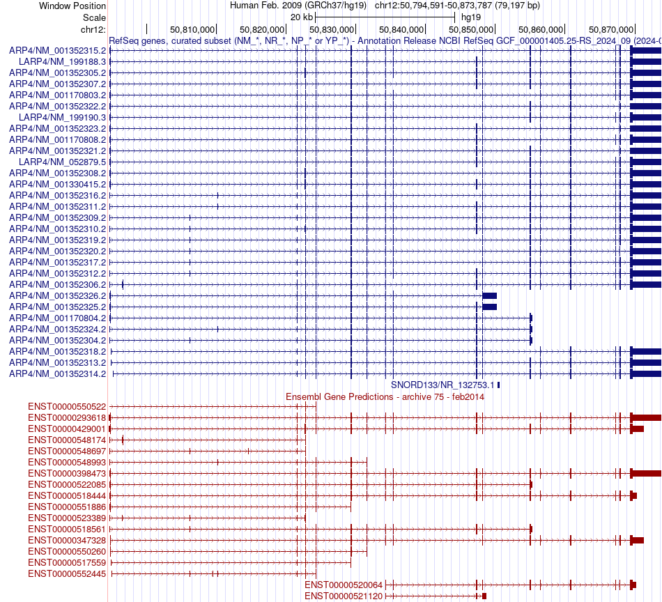 gene isoform structure of LARP4
