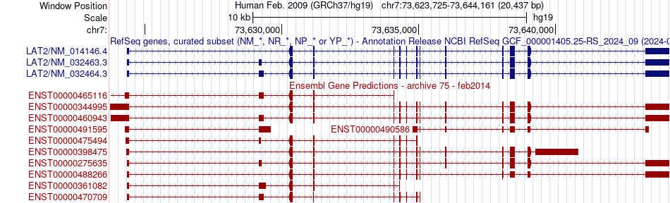 gene isoform structure of LAT2