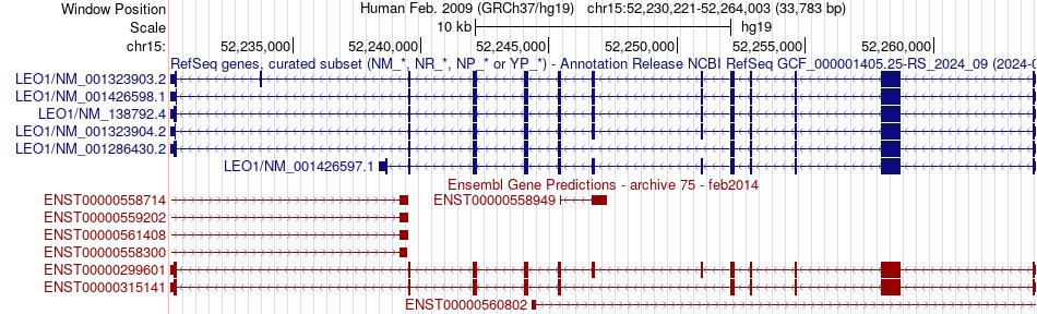 gene isoform structure of LEO1