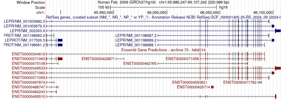 gene isoform structure of LEPR