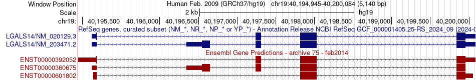 gene isoform structure of LGALS14