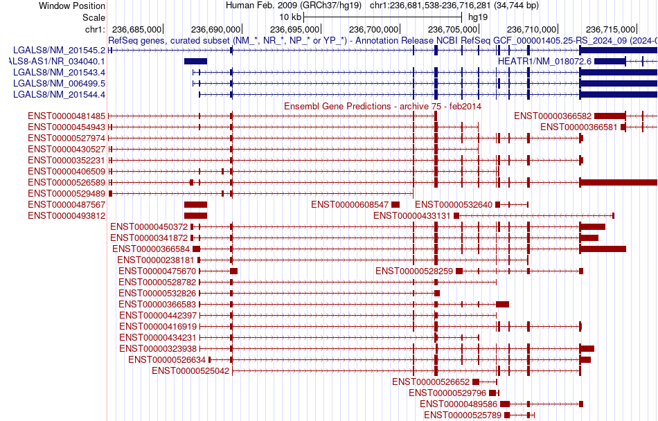 gene isoform structure of LGALS8