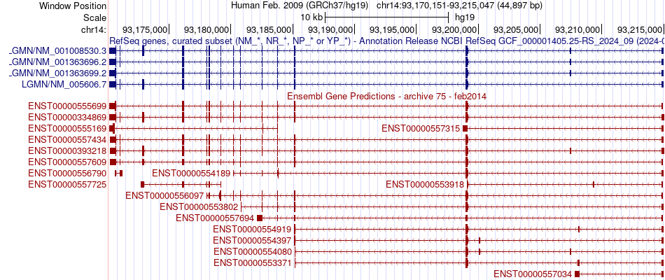 gene isoform structure of LGMN