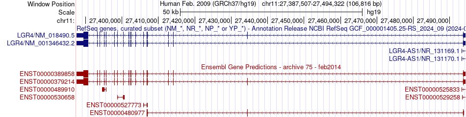 gene isoform structure of LGR4