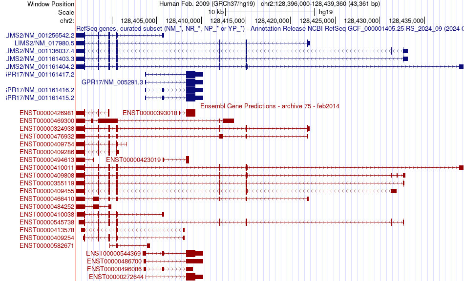 gene isoform structure of LIMS2