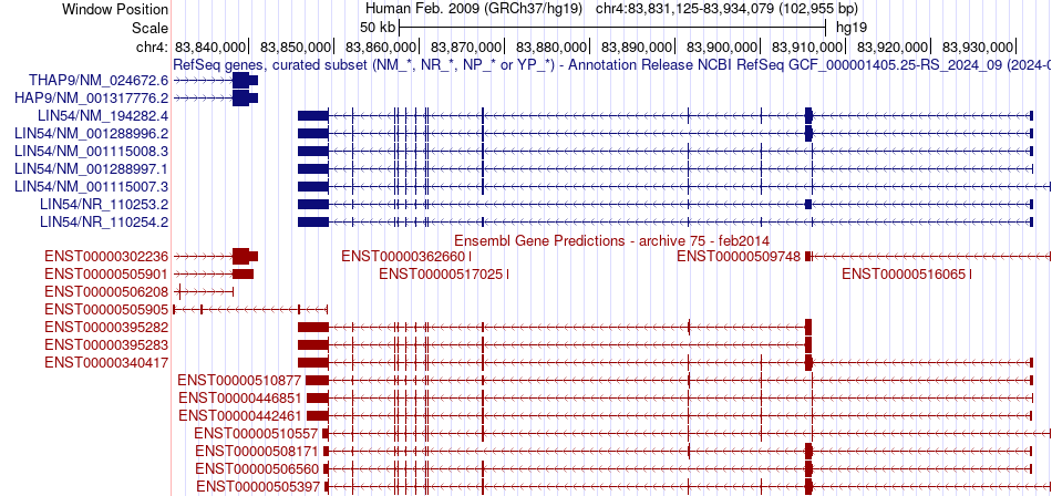gene isoform structure of LIN54