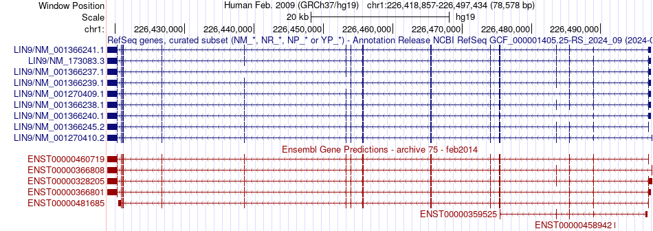 gene isoform structure of LIN9