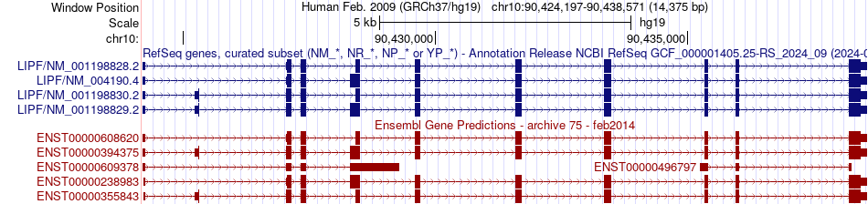 gene isoform structure of LIPF