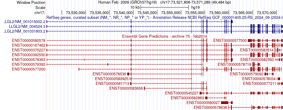 gene isoform structure of LLGL2