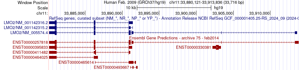 gene isoform structure of LMO2